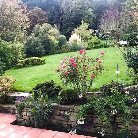 Apartamento Ein Zuhause Mit Schonem Garten Bonn Exterior foto