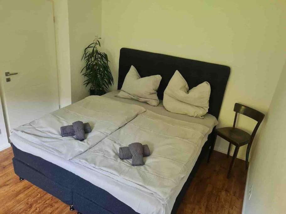Apartamento Ein Zuhause Mit Schonem Garten Bonn Exterior foto